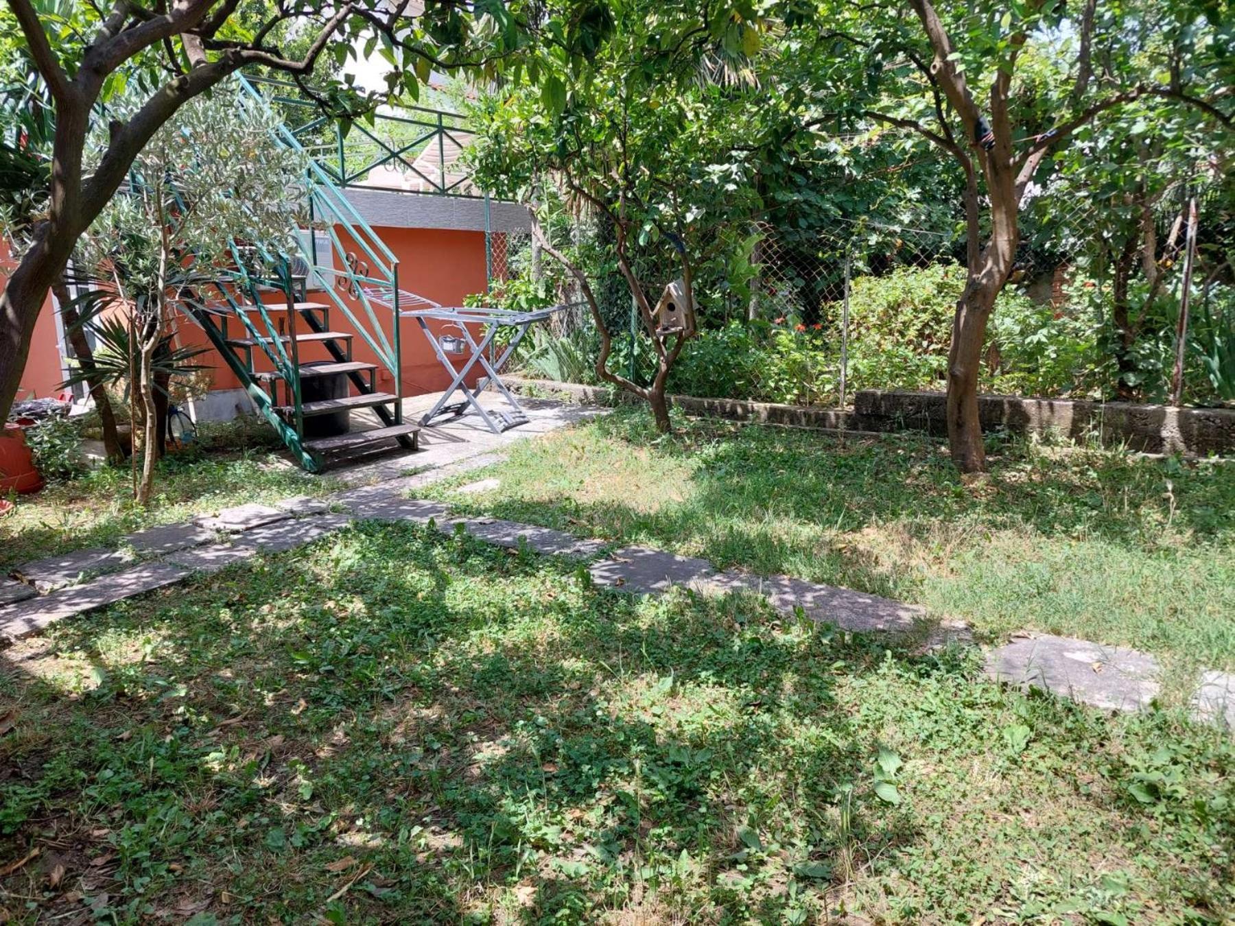 Garden Apartmant Near Sea Kotor Exterior foto