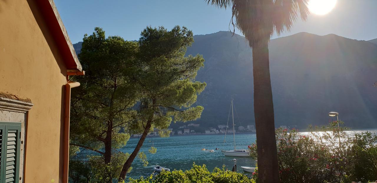Garden Apartmant Near Sea Kotor Exterior foto